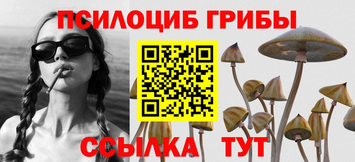 Галлюциногенные грибы мухоморы  купить наркотики сайты  Псилоцибиновые грибы мухоморы  Советский  Вход с VPN 